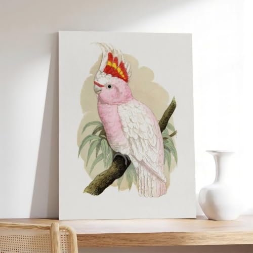 Tableau cacatoès sur toile vintage prestige pour grand paysage