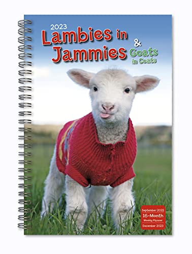 2023 Weekly & Monthly Planner, 16-Month Engagement Calendar: September 2022 - December 2023, 6" x 9" - Lambies in Jammies & Goats in Coats