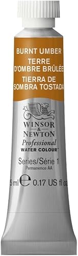Vista 43 de Winsor & Newton - Pintura para acuarela profesional