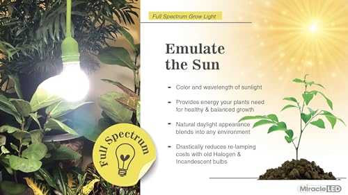 Miracle LED Blooming Lotus Daybreak, Craft Lighting Grow Bulb (2-Pack) by Miracle LED - Image 3