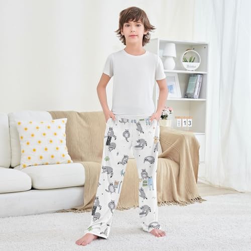 Boys' Pants Cute Raccoon Animal Long Bottoms Jogger Pants Elastic Waist Trousers with Pockets S-XL3