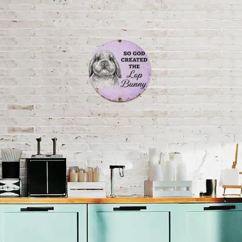 Lvalogy Fluffy Lop Bunny Rabbit Plaque en métal rétro – vue 4
