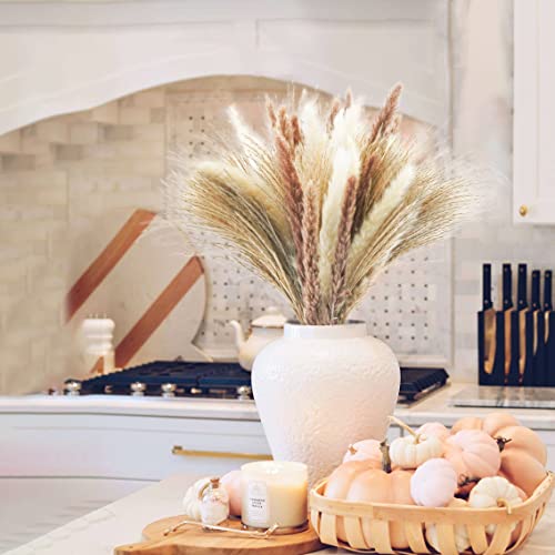 Uieke 80 Pcs Natural Dried Flowers,30Pcs White & Brown Pampas & 50Pcs Reed Grass, Dried Pompous Arrangements For Home Wedding Boho Baby Shower Party Decorations #TOP6