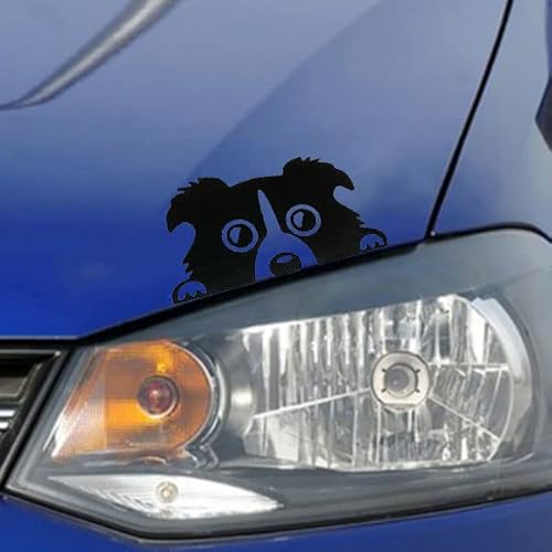 {[_[R[   e[v V[ XebJ[ hXAbv h LY B KX ① PC  킢 (ubN)