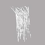  Southpole (Part Time Punks Session)