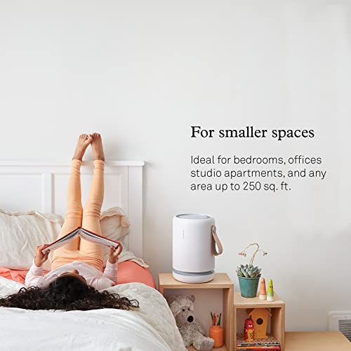 Molekule - Air Mini+ - Fda-Cleared Medical Air Purifier With Particle Sensor And Peco Technology For Smoke, Allergens, Pollutants, Viruses, Bacteria, And Mold- 250 Sq. Ft. #TOP2