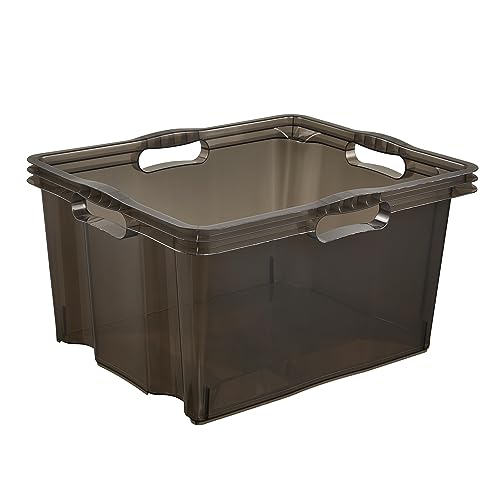 keeeper Multi-Box XL Aufbewahrungsbox mit integrierten Griffen, 24 l, 43 x 35 x 23 cm, Franz, Crystal Grey