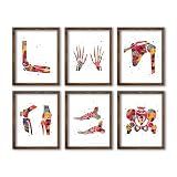 Watercolor Human Skeleton Anatomy Bones Illustration Poster Set for Biology Classroom Display, Lab Chiropractic Medİcal Office Learning Wall Skeleton Study Desk Physical Therapy Science Wall Art, Med Student Orthopedist Teacher Science Enthusiast Graduation Gifts - 8x10 Unframed Poster Set