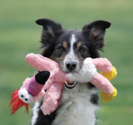 KONG Wild Knots Eagle Dog Toy, Medium/Large