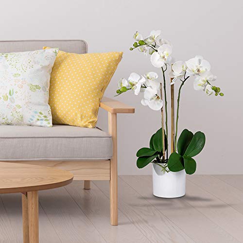 Serene Spaces Living 3 White Realistic Phalaenopsis Orchids In Pot, Artificial Potted Flowers - Beautiful Entryway Vase, Foyer Table Décor, Measures 26" Tall & 5" Diameter #TOP1