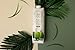 Real Coco Organic Pure Coconut Water (6-Pack 1L), USDA Organic, No Added Sugar, Plant Based, Packed with Electrolytes, Vegan