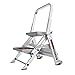 Little Giant Ladder Systems 10210BA Safety Step Stepladder with Handrail, 2-Step