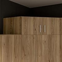 Forte ECONOBOX Schrankaufsatz 165, 2-türiger Drehtürenschrankaufsatz für Eckschrank, Holzwerkstoff, Mauvella Eiche Dekor, 165,2 cm breit, 38,1 cm hoch, 54,2 cm tief