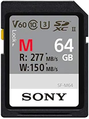 scheda di memoria sony per fotocamera