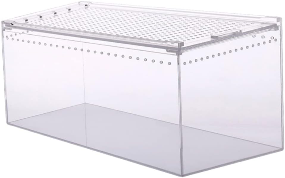 GALPADA Reptile Box Climbing Pet Feeding Container Breeding Case for Reptile Leak Easy to Clean Comfortable Living Nest