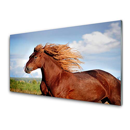Déco murale moderne tableau cheval impression verre acrylique - 2