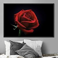 Framed Canvas Wall Art Rose Bohemian Dark Dramatic Floral Multicolor Petal Photography Portrait - 16x24 inches
