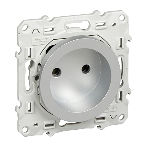 Schneider Electric - Odace, prise de courant 2P Alu, à vis, connexion rapide - S530033
