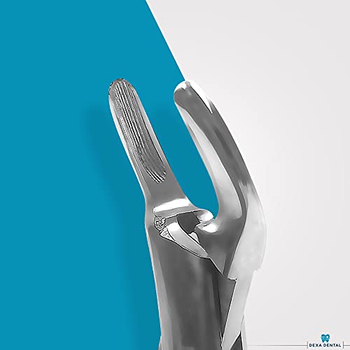 Dexa Dental Heavy Duty Dental Extracting Forceps # 150# 151# 23, Apical Forceps, Cowhorn Forceps, Lower Molars, Atraumair - 3 Pcs #TOP5