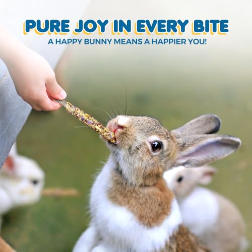 Image of SunGrow Apple Sticks, Wood Chew Treats for Rabbits, Chinchillas, Bunny, Hamster, Squirrel, Guinea Pigs, Small Animals Molar Pet Chew Toys for Teeth Grinding (20 Pcs)