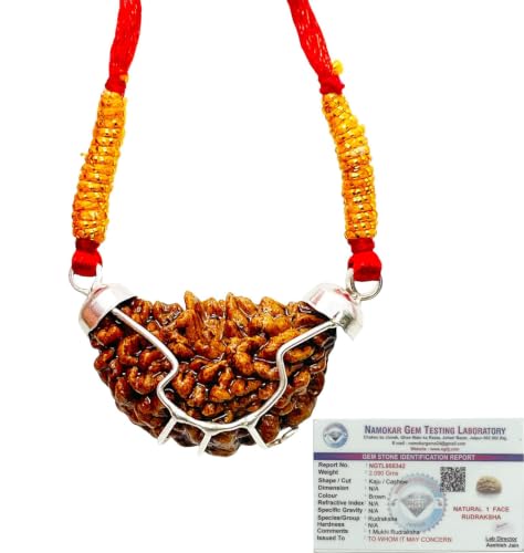Image of Siddha 1 / One Mukhi Pure Rudraksha, Laboratory Certified, Carefully Capped with Silver Between Indian Beads with Handmade Tassel, Size 28mm-34mm, Color-Brown (1 Mukhi Silver Rudraksha)