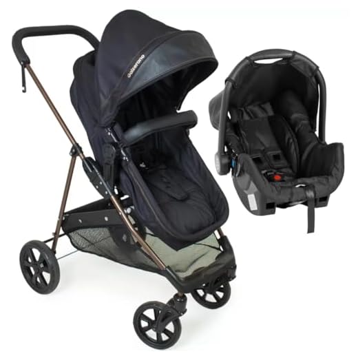 Carrinho de Bebê Moisés Napoli Duo com Bebê Conforto, Galzerano