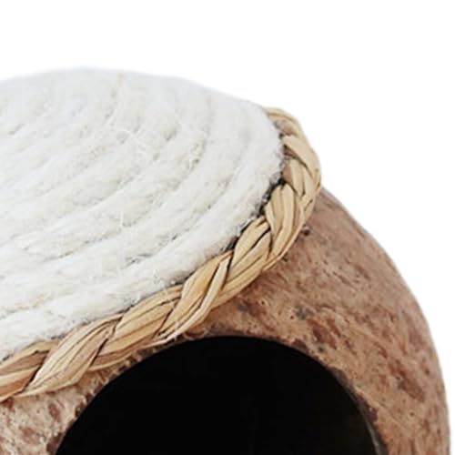 ＫＬＫＣＭＳ Casa de pássaro pendurada, de pássaro de coco, gaiola de pássaro, habitat para animais de est