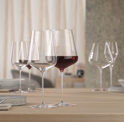 Spiegelau & Nachtmann, Lot de 2 verres à vin universels en cristal 550 ml – vue 8