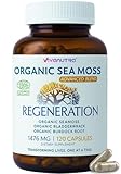 Sea Moss Capsules 1476mg – Organic Seamoss Pills Superfood with Irish Sea Moss, Bladderwrack & Burdock Root | 120 Vegan Capsules for Vitality, Energy & Skin Support – Made in USA