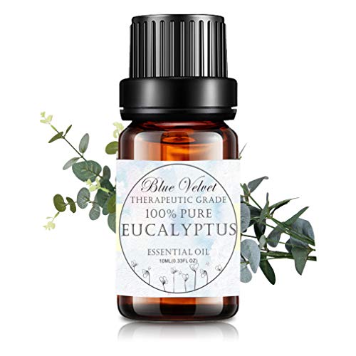 Blue Velvet Essential Oils Organic Lavender Spa Perfume Diffusion Home Care Massage Yoga Aromatherapy Oils 10ML (Eucalyptus)