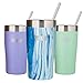 Healthy Human Insulated Stainless Steel Tumbler Cruisers - Travel Cup with Lid & Straw - Vacuum Double Walled Thermos - Idea for Coffee, Tea & Water 20 oz. Ocean Tide