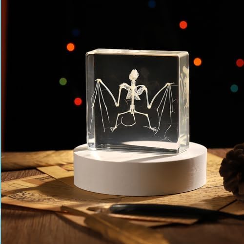 Taixdermy Bat Skeleton Specimen in Resin for Science Classroom Science Education Great Gift for Fans of Taxidermy, Animal Skull, Biology, Oddities