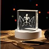 Taixdermy Bat Skeleton Specimen in Resin for Science Classroom Science Education Great Gift for Fans of Taxidermy, Animal Skull, Biology, Oddities