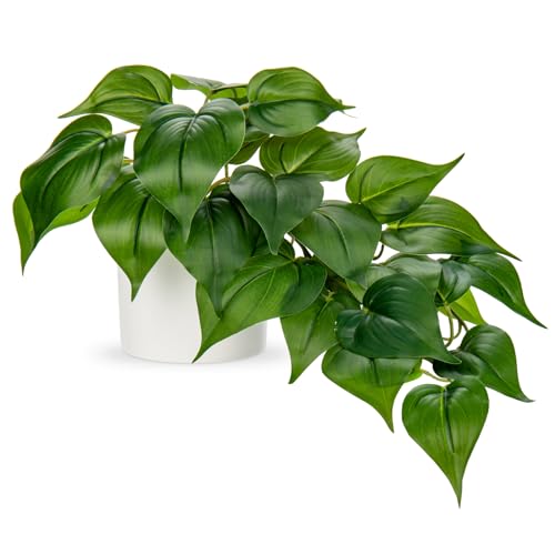 Hollyone Künstliche Pflanzen in Keramiktöpfen, gefälschte Jade Pothos dekorative künstliche Topfpflanzen, realistische Zimmerpflanze für Inneneinrichtung, Badezimmer, Wohnzimmer, Küche, Regal