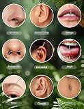CASSIECA 20 sztuk piercingu, taper, kulka, igły, stal nierdzewna, zestaw do samodzielnego przekłuwania uszu, nosa, warg, brzucha, Stal nierdzewna