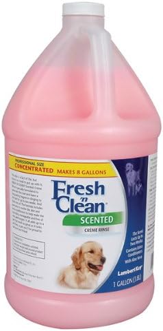 Fresh 'n Clean Scented Creme Rinse - Gallon