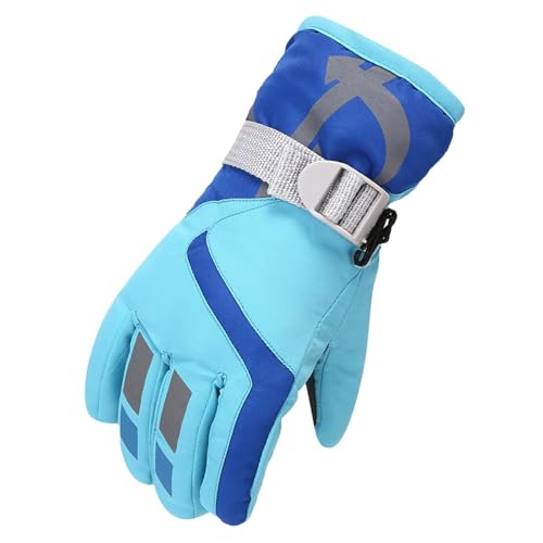 XL[  LbY O[u hh ~ j̎q ̎q XL[~g ϖՐ h ʋC ~p ]  oCN  (Cgu[CS)