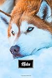 Siberian Husky Huskies Dog Pup Puppy Doggie Notebook Bullet Journal Diary Composition Book Notepad - Relaxing in Snow: Cute Animal Pet Owner ... Plain Blank Paper Pages in 6ÃÂ¢Ãâ¬Ãï¿½ x 9ÃÂ¢Ãâ¬Ãï¿½ Inch