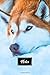 Siberian Husky Huskies Dog Pup Puppy Doggie Notebook Bullet Journal Diary Composition Book Notepad - Relaxing in Snow: Cute Animal Pet Owner ... Plain Blank Paper Pages in 6ÃÂ¢Ãâ¬Ãï¿½ x 9ÃÂ¢Ãâ¬Ãï¿½ Inch
