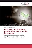 analisis azucar en sangre  Análisis del sistema productivo de la caña de azucar: Estrategias de permanencia de los pequeños productores cañeros de la localidad de Atahona Simoca Tucuman RA