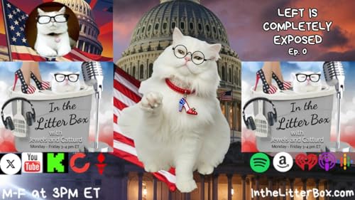 LEFT IS COMPLETELY EXPOSED | In the Litter Box w/ Jewels & Catturd &ndash; Ep. 1038 &ndash; 6/11/2026