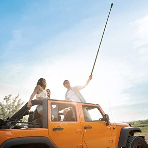 Insta360 3m Extension for Selfie Stick for Insta360 ONE, ONE X, ONE X2 & ONE R models DINEESS/A