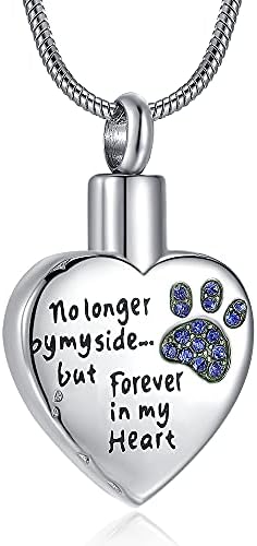 RIMZVIUX Pet Cremation Jewelry for Ashes for Dog Cat Waterproof Dog Paws Ash Necklace for Men Urns Cat Memorial Gift Women (Silver-Blue)