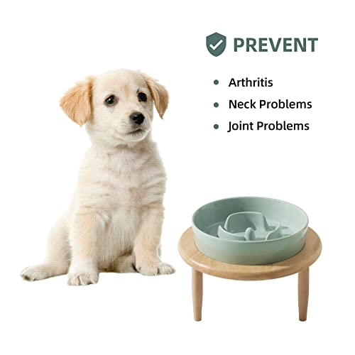 Havniva Ceramic Slow Dog Feeder Bowl For Small Dog, Slow Dog Food Bowl Small, Slow Dog Water Bowl, Pet Slower For Fun, Stop Bloat, Preventing Choking (1 X Light Green + Stand, 6Inch) #TOP4