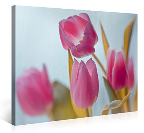 Gallery of Innovative Art - BEAUTIFUL PINK TULIPS - 100x75cm - Impresión Giclee en lienzo, foto lienzo Wall Art- Fotos en lienzo montadas sobre bastidor – Im?genes en lienzo XXL en alta resolución #e6557