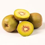 150 piezas semillas resistentes de plantas de kiwi berry - kiwi berry - kiwi - árbol frutal, semillas de bonsái de interior (Actinidios) frutas decorativas, plantas exóticas resistentes