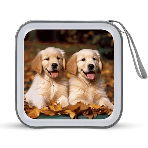 Pochette CD Golden Retriever pour organiser vos voyages en voiture et musique