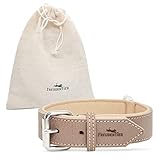 FREUDENTIER® Hundehalsband aus Leder, Made in Holland, gefüttert & super komfortabel, hochwertiges breites Lederhalsband aus Vollnarbenleder, Model “Amstelpark” (37-47cm, Stone)