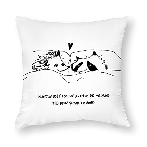 Funda de cojín decorativa Elu Eliott Lucas Skam France, 45 x 45 cm, funda de cojín de algodón con cremallera oculta, muy suave para sofá, cama, dormitorio, oficina, coche Cover