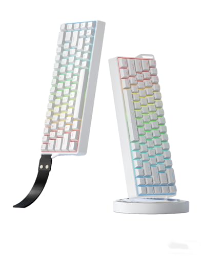 �Q�[�~���O�L�[�{�[�h ���C�����X �O�� 8000Hz �|�[�����O���[�g ���J�j�J�� �L�[�{�[�h RGB ���y�A�� 18�� ���Q ��x�� 2.4GHz �L�� 4000mAh PC PS5 Switch �Ή� �l�ԍH�w�݌v �t���b�v�A�b�v �t�b�g�t�� (�z���C